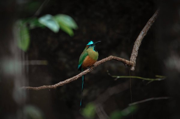 Une approche innovante pour la sécurité et l'élégance : Les poignées de porte ergonomiques