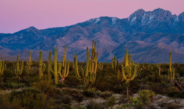 Une peau éclatante de santé : découvrez les secrets d'une routine de soins naturels